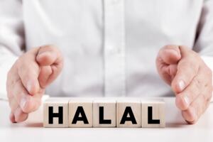Two hands holding word cubes forming the word 'Halal'.
